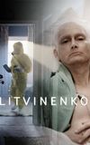 Litvinenko