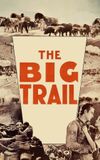 The Big Trail