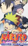 Naruto: The Lost Story - Mission: Protect the Waterfall Village!