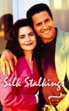 Silk Stalkings