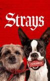 Strays