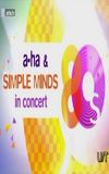 Simple Minds & a-ha in Concert: Engers Castle in Neuwied, Germany