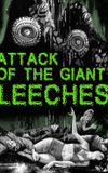 Attack of the Giant Leeches