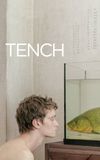 Tench