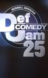 Def Comedy Jam 25