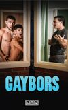 Gaybors