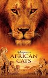 African Cats