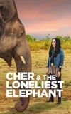 Cher & the Loneliest Elephant