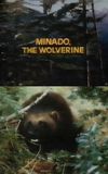 Minado, the Wolverine