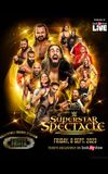 WWE Superstar Spectacle 2023