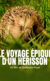 Le voyage épique d'un hérisson