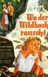 Wo der Wildbach rauscht