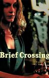 Brief Crossing