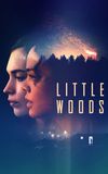 Little Woods