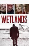 Wetlands