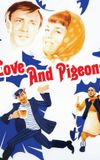 Love and Pigeons