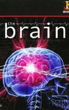 The Brain