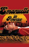 Emanuelle in America