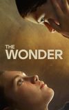 The Wonder