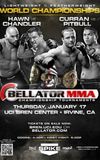 Bellator 85