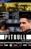 Pitbull