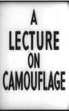 A Lecture on Camouflage