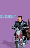 Roustabout