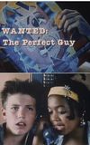 Wanted: The Perfect Guy