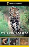 Stalking Leopards