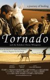 Tornado and the Kalahari Horse Whisperer