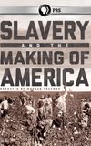 Slavery and the Making of America