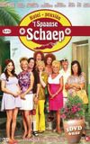 't Spaanse Schaep