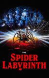 The Spider Labyrinth