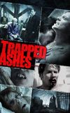 Trapped Ashes