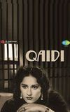 Qaidi