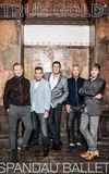 Spandau Ballet: True Gold