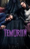 Temurun