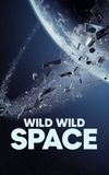 Wild Wild Space