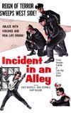 Incident in an Alley