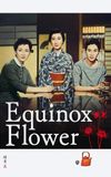 Equinox Flower