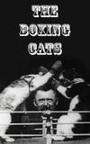 The Boxing Cats