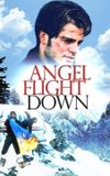 Angel Flight Down