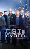 CSI: Cyber