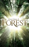 Once Upon a Forest