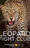 Leopard Fight Club