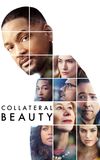 Collateral Beauty