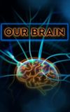 Our Brain