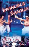 Invincible Shaolin