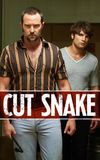 Cut Snake