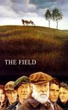 The Field